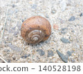 Brown snail - overhead view 140528198