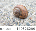 Brown snail - diagonally to the right 140528200