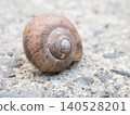 Brown snail - diagonally to the left 140528201
