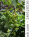 Grape Grape 140528530