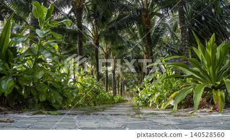 Stone pathway through tropical plants and palm trees in a lush resort garden in Vietnam. Stone pathway through tropical plants and palm trees in a lush resort garden in Vietnam. 140528560