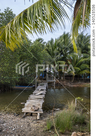 A rickety wooden footbridge crosses a narrow Vietnamese canal framed by lush palm fronds and mangroves, leading to a small stilt house amid dense vegetation. A rickety wooden footbridge crosses a narrow Vietnamese canal framed by lush palm fronds and mangroves, leading to a small stilt house amid dense vegetation. 140528586