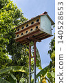A large multi-storey swiftlet house on a tall metal pole, surrounded by mango trees and banana palms against a clear blue sky. Common in Vietnam for edible bird's nest farming. 140528653