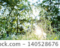 A nostalgic and fantastical background image of a field of fleabane flowers bathed in the golden light of twilight. 140528676