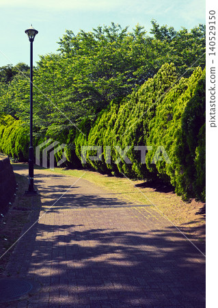 公園的長廊 140529150
