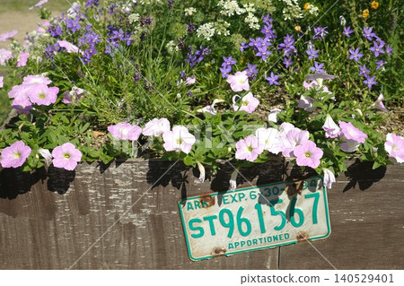 Stylish gardening with license plates Stylish gardening with license plates 140529401
