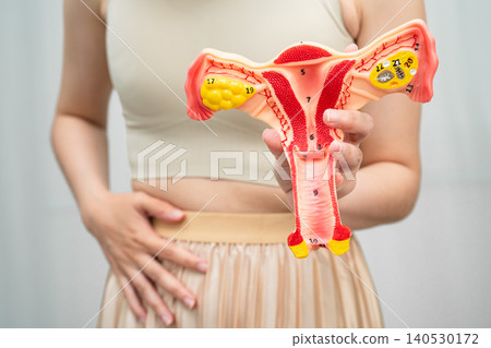 Uterus, Asian woman holding human anatomy model. Uterus, Asian woman holding human anatomy model. 140530172