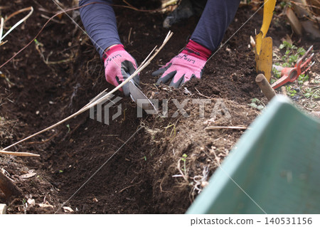 Gardening 140531156