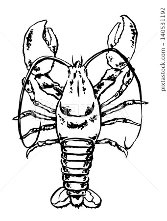 Lobster in engraved style. Vector illustration for restaurant menus, kitchen decor, and textiles in a fisherman's style. Lobster in engraved style. Vector illustration for restaurant menus, kitchen decor, and textiles in a fisherman's style. 140531192