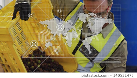 Tilting handler hivis vest and black gloves, pouring olives from yellow crate at packing line, HUD Tilting handler hivis vest and black gloves, pouring olives from yellow crate at packing line, HUD 140531475