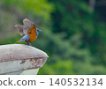 A blue bird spreads its wings by a streetlamp on the beach. 140532134