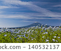 Mount Fuji as seen from Oishi Park in early summer 140532137