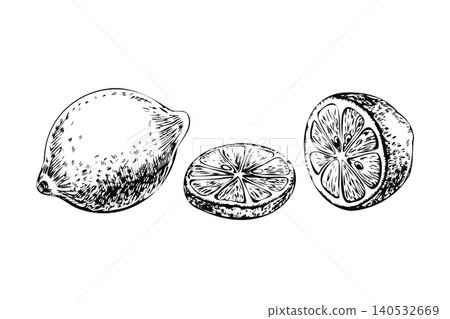 Lemon fruit whole with cut slices hand drawn ink sketch. Black line art citrus collection isolated on white for lemonade beverage packaging, kitchen wall decor, restaurant menu, and recipe book Lemon fruit whole with cut slices hand drawn ink sketch. Black line art citrus collection isolated on white for lemonade beverage packaging, kitchen wall decor, restaurant menu, and recipe book 140532669