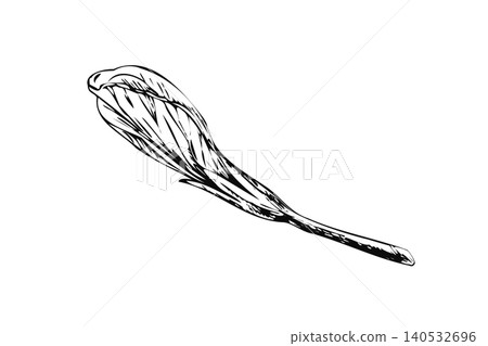 Hibiscus flower bud hand drawn ink line art illustration. Minimalist black contour botanical sketch isolated on white for textile print, pattern design, wedding stationery, and spa branding Hibiscus flower bud hand drawn ink line art illustration. Minimalist black contour botanical sketch isolated on white for textile print, pattern design, wedding stationery, and spa branding 140532696