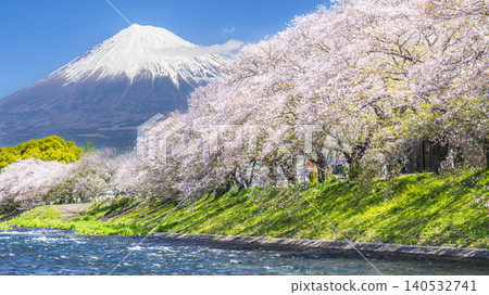 從靜岡縣富士市宇留川眺望靜岡縣熱門旅遊景點龍岩淵，櫻花盛開，富士山巍峨聳立，景色令人嘆為觀止。 [靜岡縣富士市] 140532741