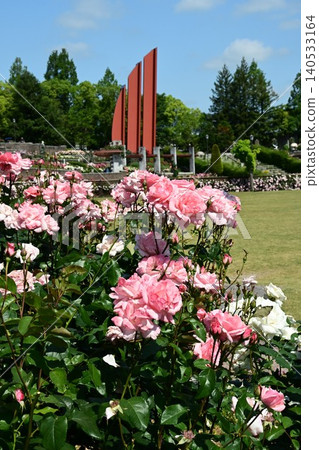 伊丹市綠色廣場,春季荒卷玫瑰公園 伊丹市綠色廣場,春季荒卷玫瑰公園 140533164