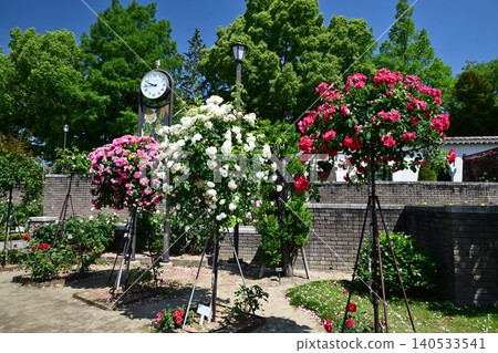 Itami City Green Plaza, Aramaki Rose Park in Spring 140533541