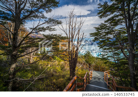 Perito Moreno glaciers view from forest walkway with autumn tree and blue sky over icy lake 140533745