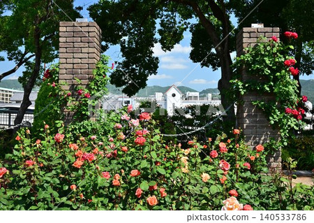 Itami City Green Plaza, Aramaki Rose Park in Spring Itami City Green Plaza, Aramaki Rose Park in Spring 140533786