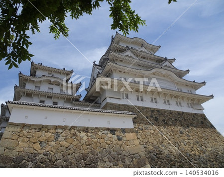 The magnificent main keep and west smaller keep of Himeji Castle, along with its imposing stone walls, are visible through the fresh green leaves. 140534016