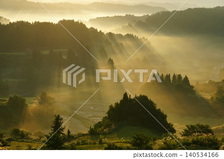 Morning scenery of the Tokamachi Hoshitoge rice terraces, shimmering with golden rays of light - Ver4 Morning scenery of the Tokamachi Hoshitoge rice terraces, shimmering with golden rays of light - Ver4 140534166