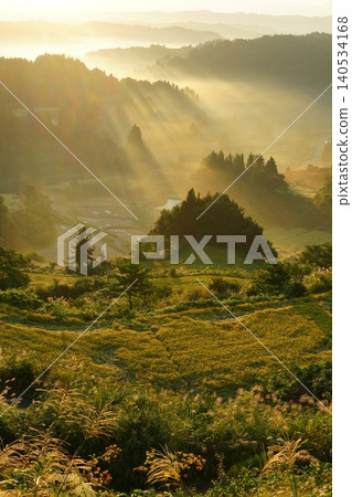 Morning scenery of the Tokamachi Hoshitoge rice terraces, shimmering with golden rays of light - Ver2 Morning scenery of the Tokamachi Hoshitoge rice terraces, shimmering with golden rays of light - Ver2 140534168