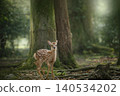 Angels of the Forest - Fawns in Nara Park 140534202