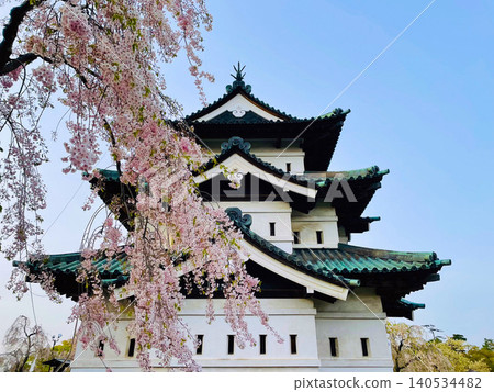 青森縣弘前城的春天景色令人嘆為觀止,盛開的垂枝櫻花和歷史悠久的城堡天守閣構成了一幅美麗的畫面。 青森縣弘前城的春天景色令人嘆為觀止,盛開的垂枝櫻花和歷史悠久的城堡天守閣構成了一幅美麗的畫面。 140534482