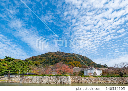 鳥取縣鳥取市東町的久松山和秋天的仁風閣(2023年) 鳥取縣鳥取市東町的久松山和秋天的仁風閣(2023年) 140534605