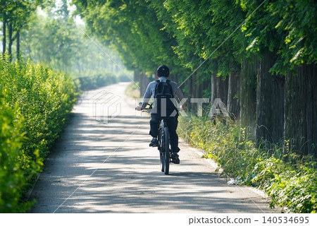 young woman riding bicycle in the forest young woman riding bicycle in the forest 140534695