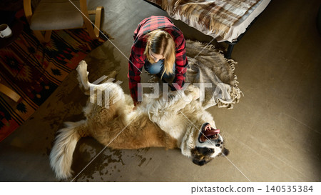 Top view woman playing with saint bernard dog at home pet bonding and care. Top view woman playing with saint bernard dog at home pet bonding and care. 140535384