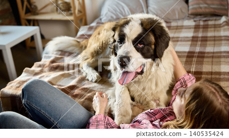Large dog resting on bed while woman relaxing nearby in cozy interior Large dog resting on bed while woman relaxing nearby in cozy interior 140535424