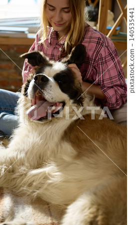 Young woman petting Saint Bernard dog close up cozy home pet care lifestyle Young woman petting Saint Bernard dog close up cozy home pet care lifestyle 140535441