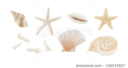 夏日海灘上的貝殼、海星和珊瑚的水彩插圖 夏日海灘上的貝殼、海星和珊瑚的水彩插圖 140535857
