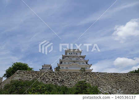 The magnificent view of Himeji Castle's main keep and west keep standing side by side beyond the towering, long stone walls. 140536137