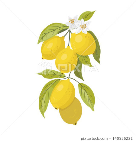 Hand drawn lemon branch with blossoms in authentic Italian Mediterranean style, inspired by Amalfi Coast and Sicily. Citrus composition on transparent background, perfect for packaging and branding. Hand drawn lemon branch with blossoms in authentic Italian Mediterranean style, inspired by Amalfi Coast and Sicily. Citrus composition on transparent background, perfect for packaging and branding. 140536221