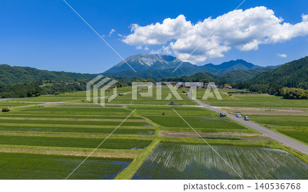 初夏時節,大山腳下稻田綿延開來。 初夏時節,大山腳下稻田綿延開來。 140536768