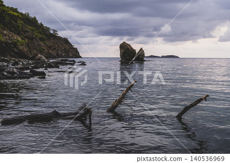 Dark Coastal Landscape with Tree Trunk in Water. Moody Bay Scene with Fallen Tree Trunk. Dark Coastal Landscape with Tree Trunk in Water. Moody Bay Scene with Fallen Tree Trunk. 140536969