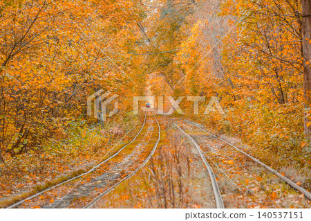 Autumn forest through which the tram travels, Kyiv and rails Autumn forest through which the tram travels, Kyiv and rails 140537151