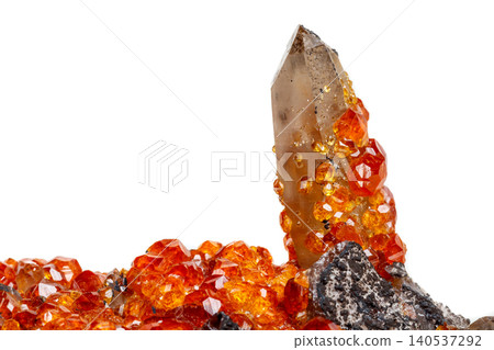 macro mineral stone Spessartine, orange, red garnet with quartz on white background macro mineral stone Spessartine, orange, red garnet with quartz on white background 140537292