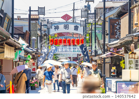 Tokyo sightseeing - Shibamata Taishakuten Temple approach 140537642