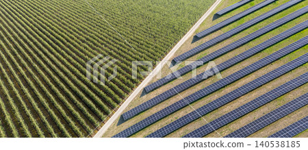 Aerial view of solar power station and fruit orchard. Sustainable development 140538185