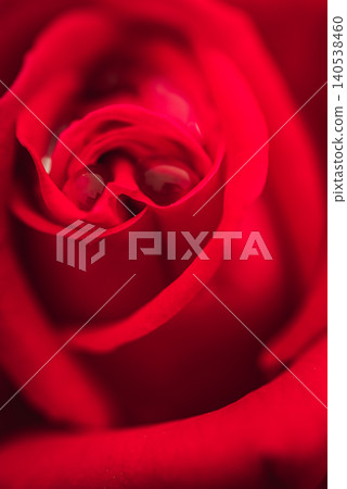 Droplets and crimson roses Droplets and crimson roses 140538460