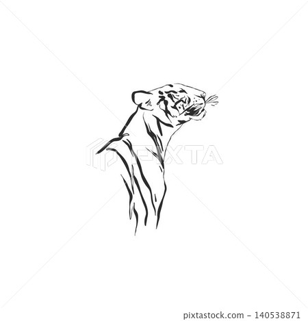 Hand drawn abstract vector graphic illustration collection with stylized line exotic tiger animals set design .Trendy modern exotic sketch animal concept.Vector nature tiger sketch symbol isolated. Hand drawn abstract vector graphic illustration collection with stylized line exotic tiger animals set design .Trendy modern exotic sketch animal concept.Vector nature tiger sketch symbol isolated. 140538871