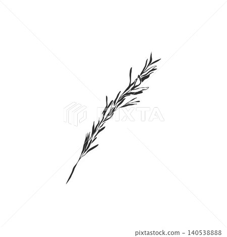 Hand drawn abstract vector graphic illustration collection with stylized line tropical palm leaves frames and borders design template.Trendy modern exotic sketch concept.Vector nature sketch symbol. Hand drawn abstract vector graphic illustration collection with stylized line tropical palm leaves frames and borders design template.Trendy modern exotic sketch concept.Vector nature sketch symbol. 140538888