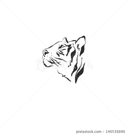 Hand drawn abstract vector graphic illustration collection with stylized line exotic tiger animals set design .Trendy modern exotic sketch animal concept.Vector nature tiger sketch symbol isolated. 140538890