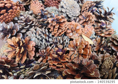 Dried pine cones are used as materials for crafts and wreath making. Dried pine cones are used as materials for crafts and wreath making. 140539295