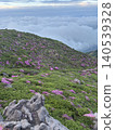 阿蘇山，是宮山霧島杜鵑盛開的地方。 140539328