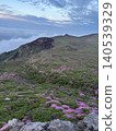宮山霧島杜鵑（Rhododendron kiusianum）盛開的山脈。 140539329