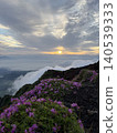 冉冉升起的太陽，茫茫的雲海，以及霧島杜鵑（Rhododendron kiusianum）的深山。 140539333